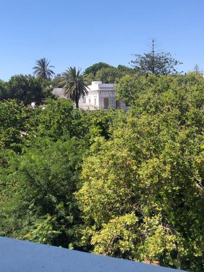 Paraskevi'S Apt - City Center W/ Lovely Park View Rhodes City Eksteriør billede